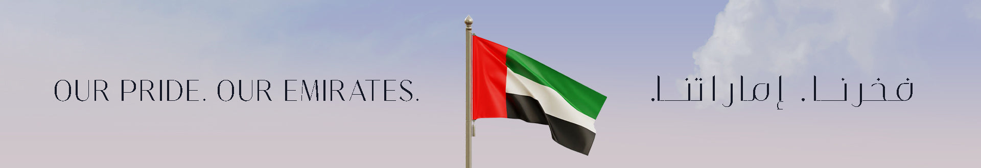 Medisoft banner
